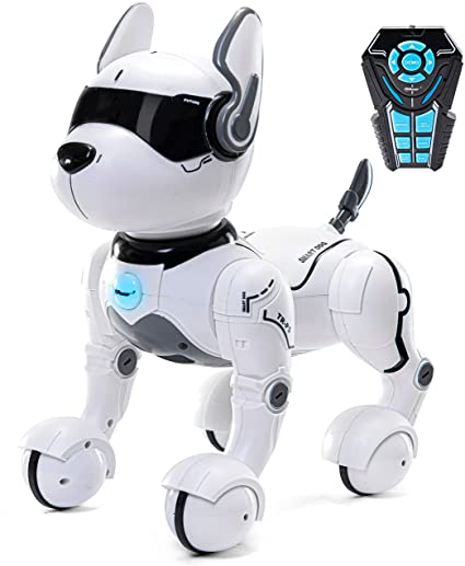 Remote control robot dog